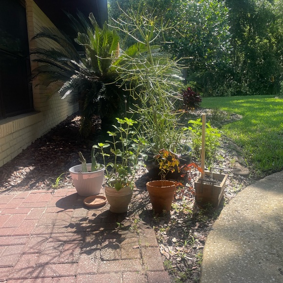 Meet your Posher, Karyn - Picture 15 of 16